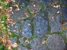 Thumbs/tn_honeymoon_1061.jpg