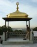 Thumbs/tn_honeymoon_1231.jpg